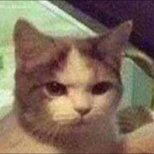 Meet your Posher, Gaby